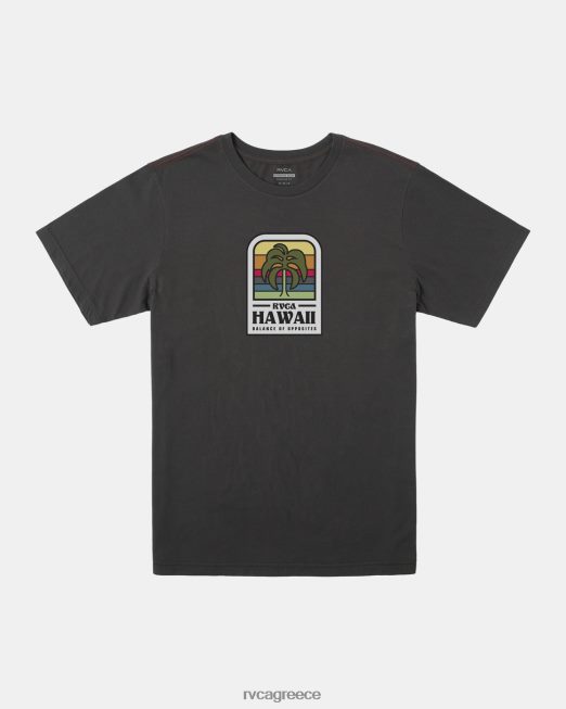R422N8129 μπλουζάκι χλωρίδας του νησιού της Χαβάης RVCA άνδρες πειρατικό μαύρο είδη ένδυσης
