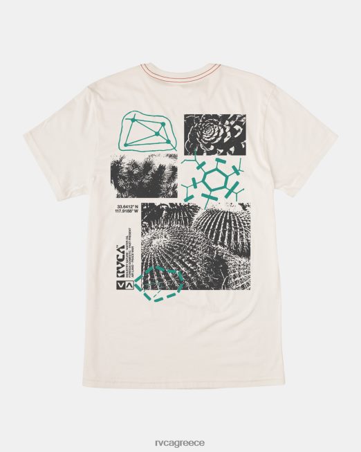 R422N8183 tee εθνοβοτονίας RVCA άνδρες αντίκα λευκό είδη ένδυσης