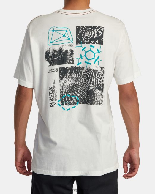 R422N8183 tee εθνοβοτονίας RVCA άνδρες αντίκα λευκό είδη ένδυσης