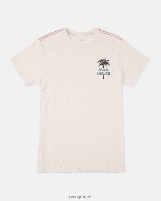 R422N8408 μπλουζάκι με αγκαθωτό φοίνικα RVCA άνδρες αντίκα λευκό είδη ένδυσης