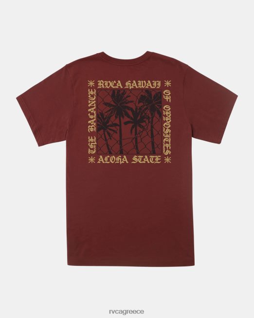 R422N8454 T-shirt με φράχτη aloha RVCA άνδρες κόκκινη γη είδη ένδυσης