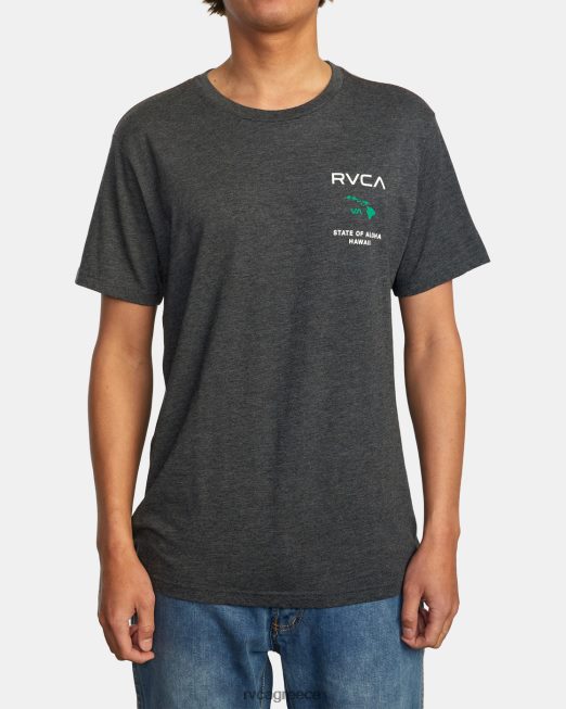 R422N8702 κατάσταση aloha tee RVCA άνδρες μαύρο/πράσινο είδη ένδυσης