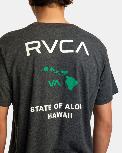 R422N8702 κατάσταση aloha tee RVCA άνδρες μαύρο/πράσινο είδη ένδυσης